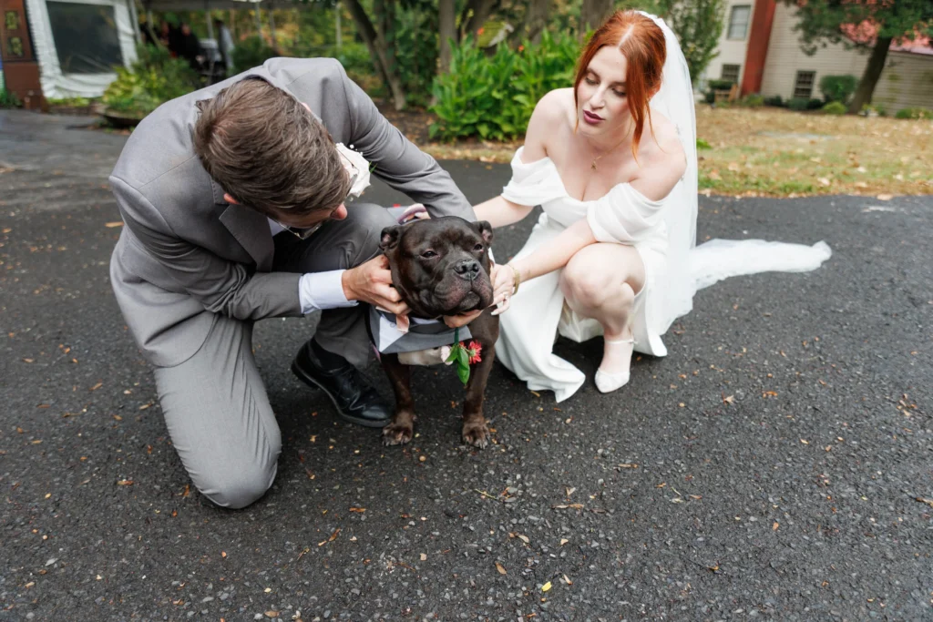 groom with dog in tux and bride