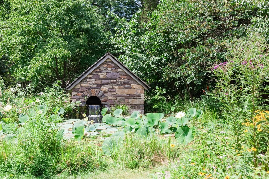 Native plants surrounding a rustic stone structure at Bowman’s Hill Wildflower Preserve