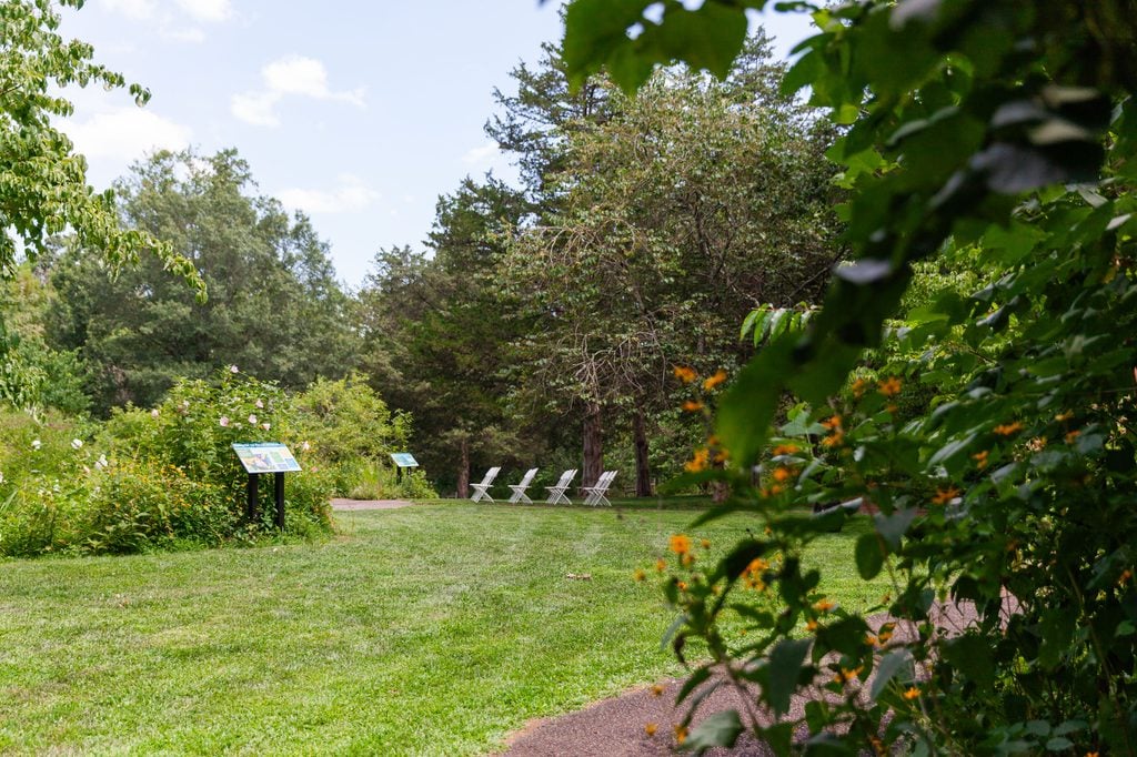 Open lawn, mature trees and native plantings create a peaceful setting at Bowman’s Hill Wildflower Preserve.