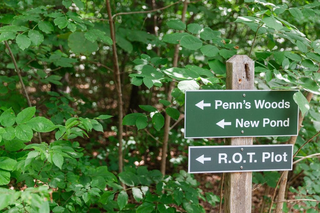 Trail signs help guests find their way through the native landscape at Bowman’s Hill Wildflower Preserve.